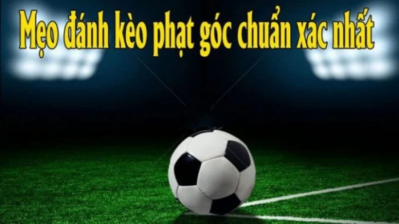 Nghiên cứu thể lực đội bóng